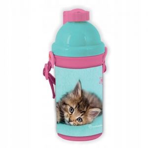 Bidon Rachaelhale Kot, 500ml